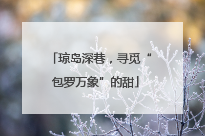 琼岛深巷，寻觅“包罗万象”的甜