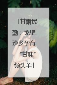 甘肃民勤：戈壁沙乡孕育“甘味”领头羊