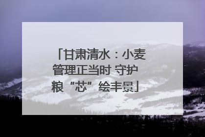 甘肃清水：小麦管理正当时 守护粮“芯”绘丰景