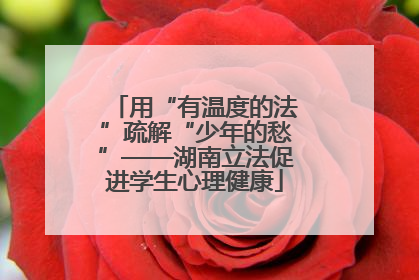 用“有温度的法”疏解“少年的愁”——湖南立法促进学生心理健康