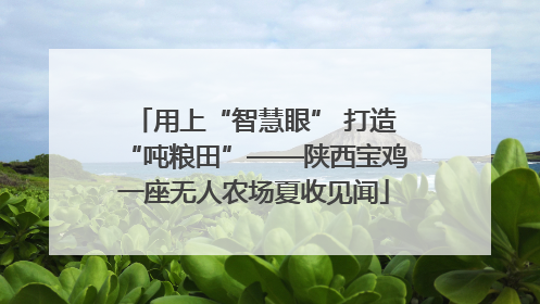 用上“智慧眼” 打造“吨粮田”——陕西宝鸡一座无人农场夏收见闻