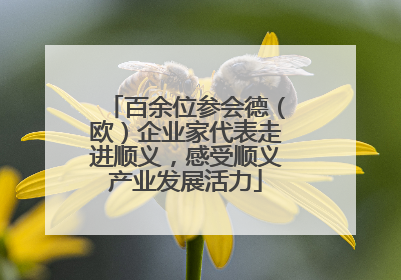 百余位参会德（欧）企业家代表走进顺义，感受顺义产业发展活力