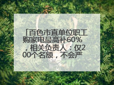 百色市直单位职工购家电最高补60％，相关负责人：仅200个名额，不会严格筛查身份