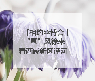 相约丝博会｜“氢”风徐来 看西咸新区泾河新城氢能产业聚链成势