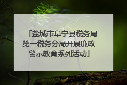盐城市阜宁县税务局第一税务分局开展廉政警示教育系列活动
