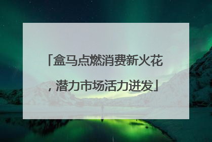 盒马点燃消费新火花，潜力市场活力迸发