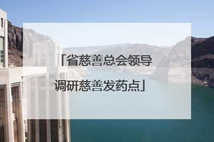省慈善总会领导调研慈善发药点