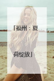 福州：夏荷绽放