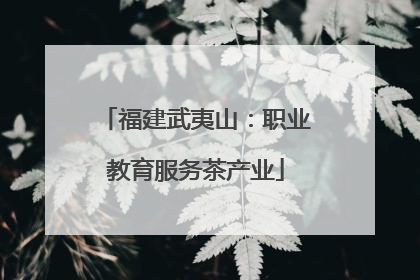 福建武夷山：职业教育服务茶产业