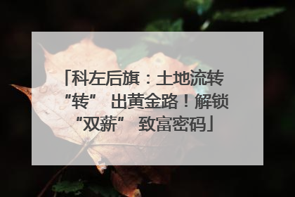 科左后旗：土地流转 “转” 出黄金路！解锁 “双薪” 致富密码