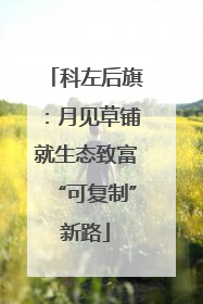 科左后旗：月见草铺就生态致富“可复制”新路