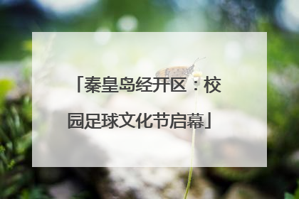 秦皇岛经开区：校园足球文化节启幕