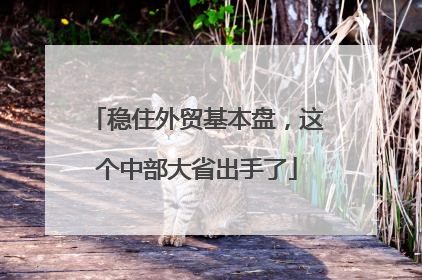 稳住外贸基本盘，这个中部大省出手了