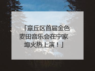章丘区首届金色麦田音乐会在宁家埠火热上演！