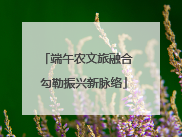 端午农文旅融合 勾勒振兴新脉络