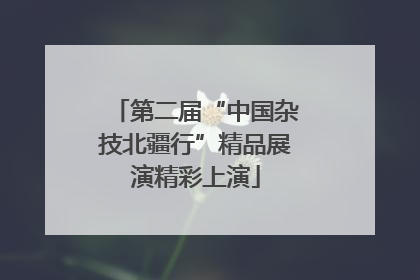 第二届“中国杂技北疆行”精品展演精彩上演