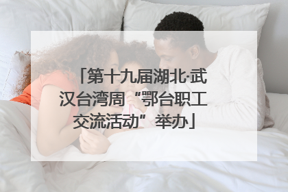 第十九届湖北·武汉台湾周“鄂台职工交流活动”举办