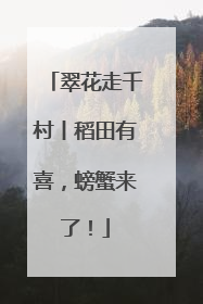 翠花走千村丨稻田有喜，螃蟹来了！