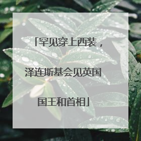 罕见穿上西装，泽连斯基会见英国国王和首相