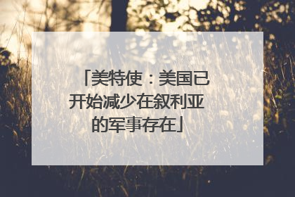 美特使：美国已开始减少在叙利亚的军事存在
