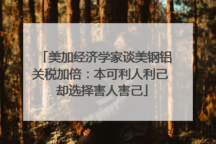 美加经济学家谈美钢铝关税加倍：本可利人利己 却选择害人害己