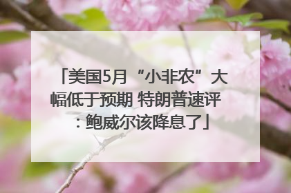 美国5月“小非农”大幅低于预期 特朗普速评：鲍威尔该降息了