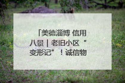 美德淄博 信用八景｜老旧小区“变形记”！诚信物业焐热居民心窝