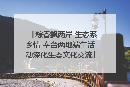 粽香飘两岸 生态系乡情 奉台两地端午活动深化生态文化交流