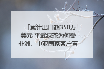累计出口超350万美元 平武绿茶为何受非洲、中亚国家客户青睐？｜发布会观察