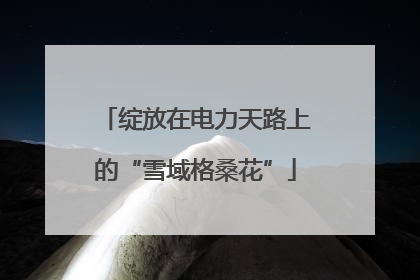绽放在电力天路上的“雪域格桑花”
