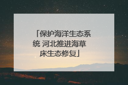 保护海洋生态系统 河北推进海草床生态修复