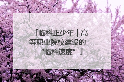 临科正少年｜高等职业院校建设的“临科速度”