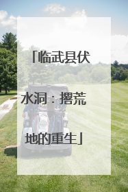 临武县伏水洞：撂荒地的重生