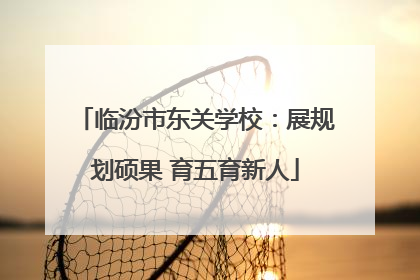 临汾市东关学校：展规划硕果 育五育新人