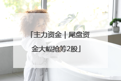 主力资金｜尾盘资金大幅抢筹2股
