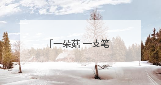 一朵菇 一支笔 一根竹 何以撬动浙江山区百亿产业？