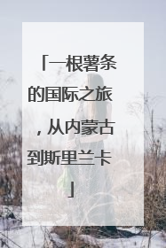 一根薯条的国际之旅，从内蒙古到斯里兰卡