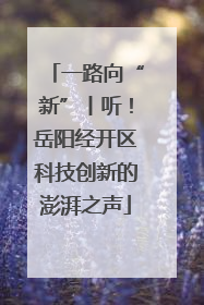 一路向“新”丨听！岳阳经开区科技创新的澎湃之声