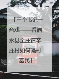 三个书记一台戏——看泗水县金庄镇辛庄村如何强村富民
