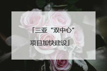 三亚“双中心”项目加快建设