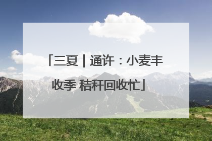 三夏｜通许：小麦丰收季 秸秆回收忙