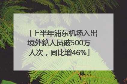 上半年浦东机场入出境外籍人员破500万人次，同比增46%