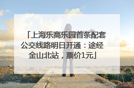 上海乐高乐园首条配套公交线路明日开通：途经金山北站，票价1元