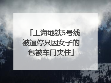 上海地铁5号线被逼停只因女子的包被车门夹住