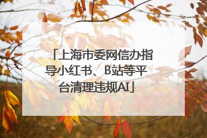 上海市委网信办指导小红书、B站等平台清理违规AI