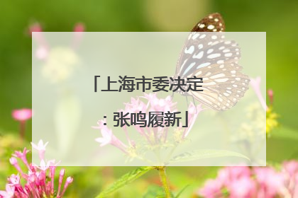 上海市委决定：张鸣履新