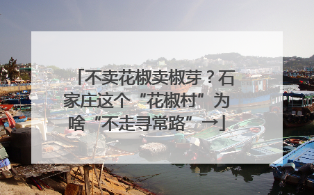 不卖花椒卖椒芽？石家庄这个“花椒村”为啥“不走寻常路”→