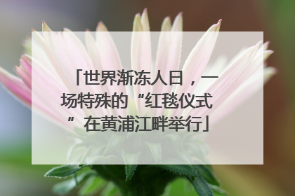 世界渐冻人日，一场特殊的“红毯仪式”在黄浦江畔举行
