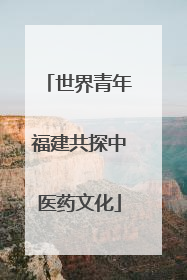 世界青年福建共探中医药文化