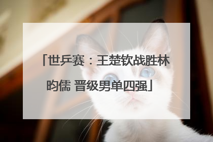 世乒赛：王楚钦战胜林昀儒 晋级男单四强